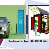 Borne électrique