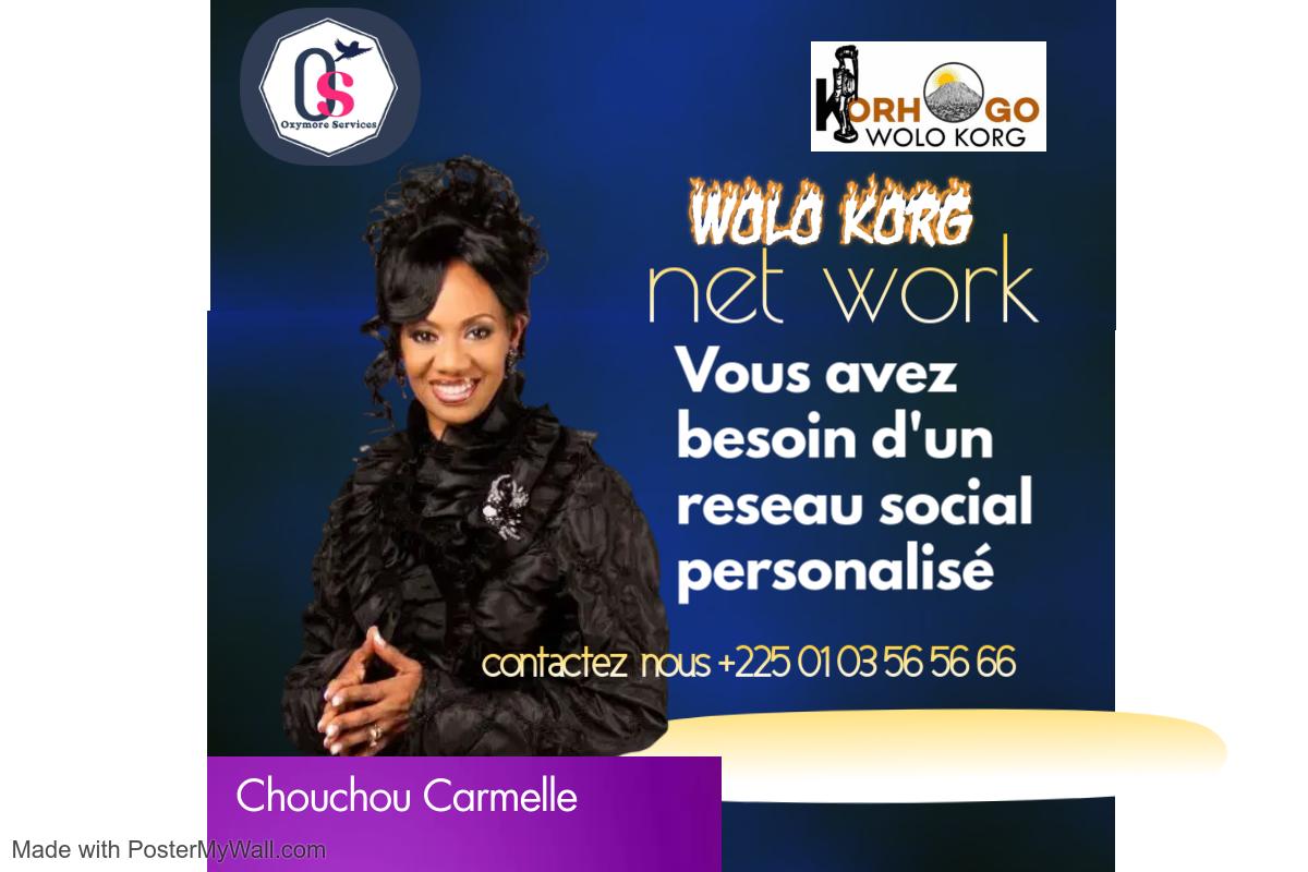 wolo korg net work