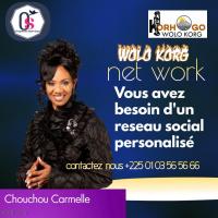 wolo korg net work